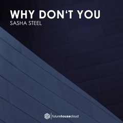 Sasha Steel - Why Don't You (Radio Edit)