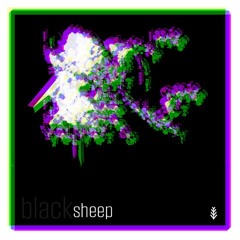 Black Sheep (Mantra Mantis x lost lakes)