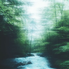 Lucid