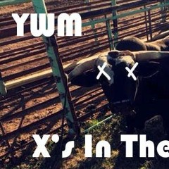 X's In Their Eyes