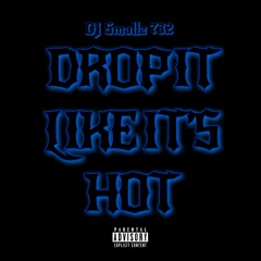 DJ Smallz 732 - Drop It Like Its Hot