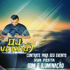 13  BANDA  FLOR DA PAIXAO  DJ VANDO