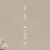 Shawn Mendes In My Blood Mp3