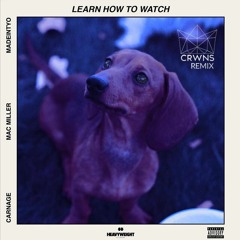 Carnage - Learn How To Watch [CRWNS Remix]