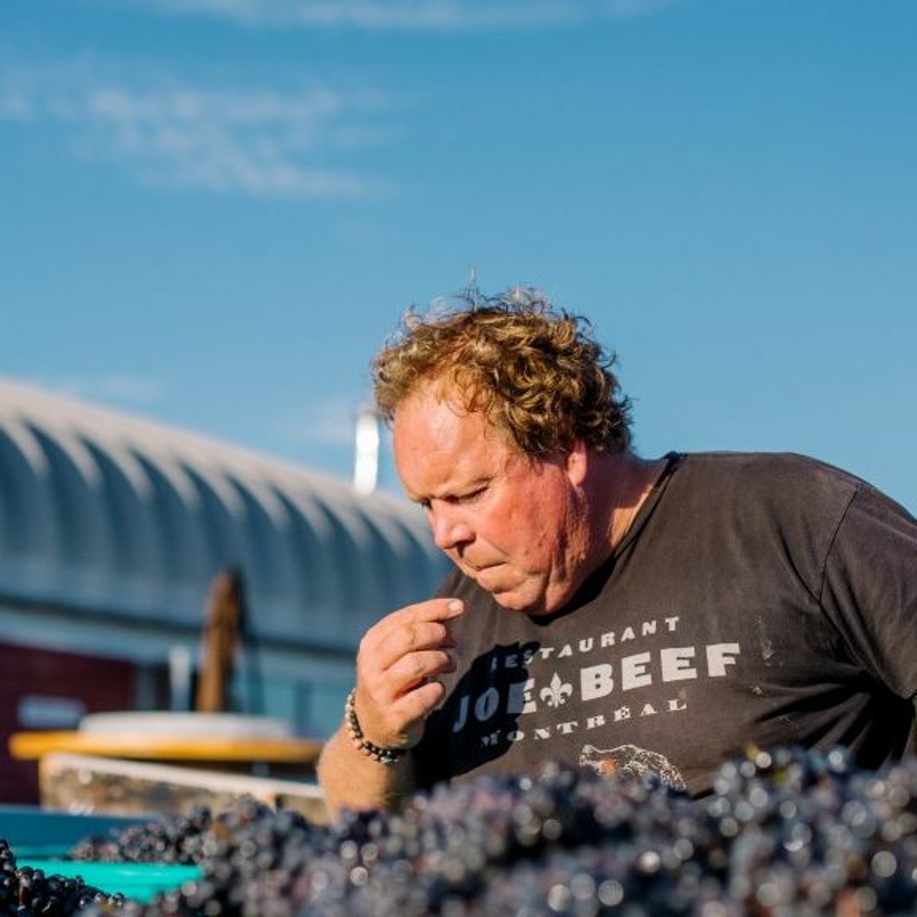 Wine Podcast: The Honest Pour with John Lenart