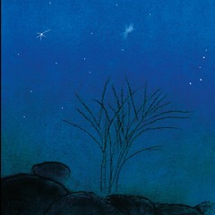 Les Chroniques Lunatiques - Soliloque