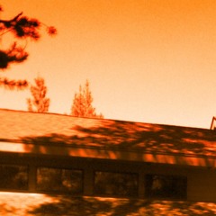 Vin-LTD - Flip Spice (2011)