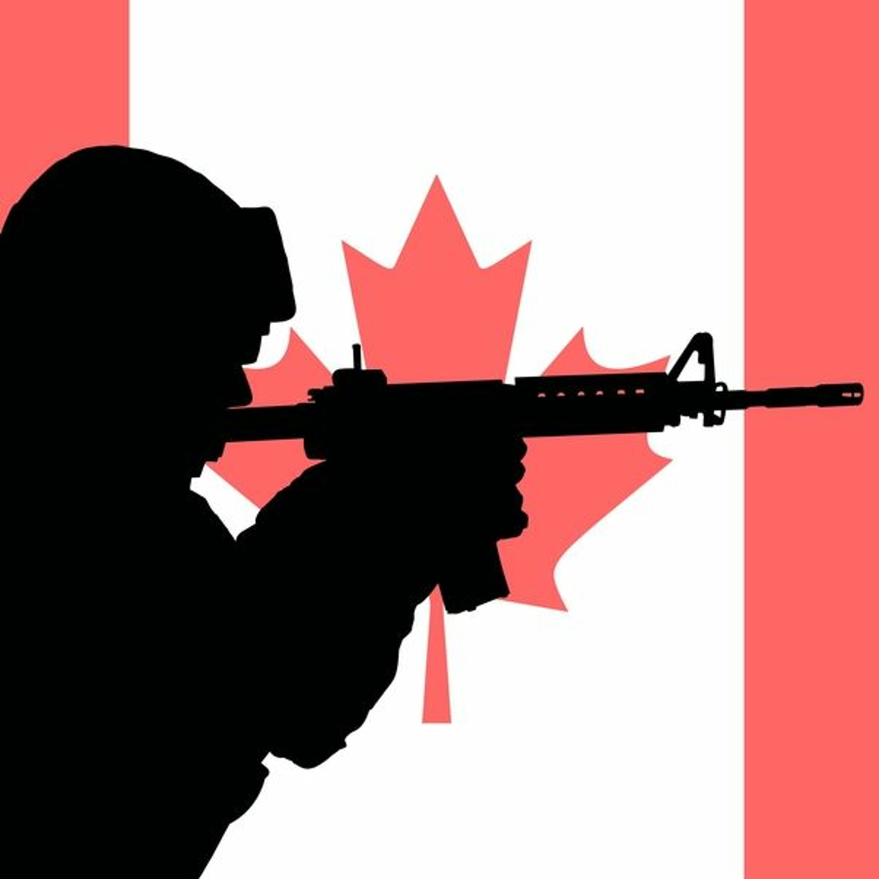Liberals taking aim at Canada's gun store owners in Bill C-71