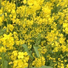 Look Inside (Flowers Rot)