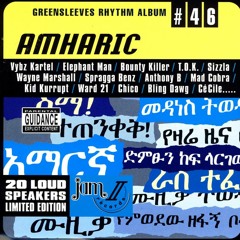 Lady Saw - Hot Gal Fi Life [Amharic Riddim] 2003