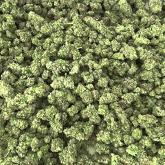 Fokus Feat. Point - Automatic (Prod. Kashif Williams)