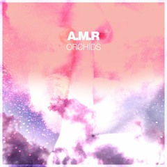 A.M.R - One Man Island