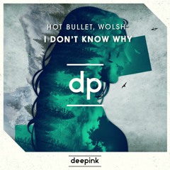 Hot Bullet, Wolsh - I Dont Know Why (Bootleg)