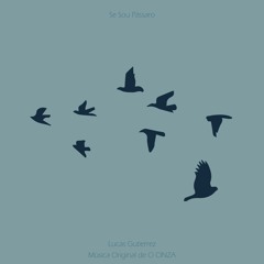 Se Sou Pássaro (Música Original de O CINZA)