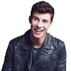 Shawn Mendes In My Blood Piano Cover Mp3