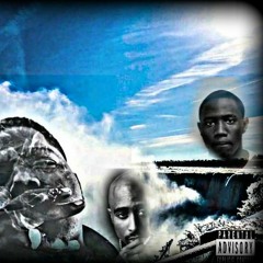 Markkeleven x Floridaboi kel x 1700 mari - Tallahassee living