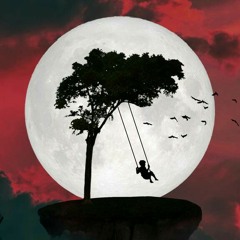 حمزاوى ادينى بنها