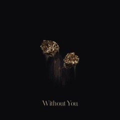 Without You (ft. Billie-Rae)