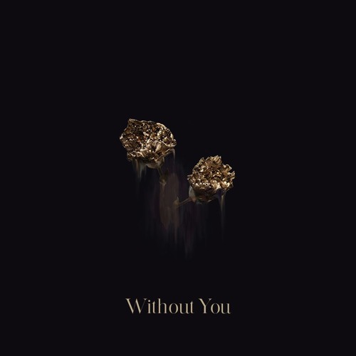 Without You (ft. Billie-Rae)