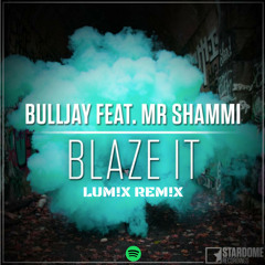 Bulljay - Blaze It (feat. Mr. Shammi) [LUM!X Remix] ***STREAM ON SPOTIFY***