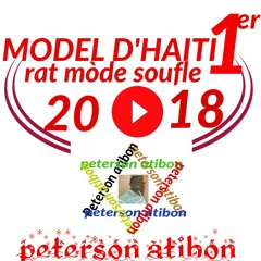 Model D'haïti 1er (Rat mòde soufle )