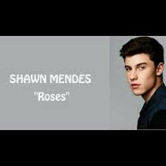 Shawn Mendes roses