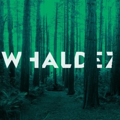 Whaldez - Reach Of Forest [ Progressive, Tech House Mix ] 2018 March