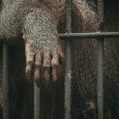 Monsters (Prod. NLS)