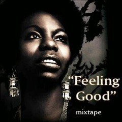 Vintage Culture & Chemical Surf - Nina Simone - Feeling Good (LUKA SANT Bootleg)