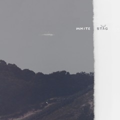 White Stag