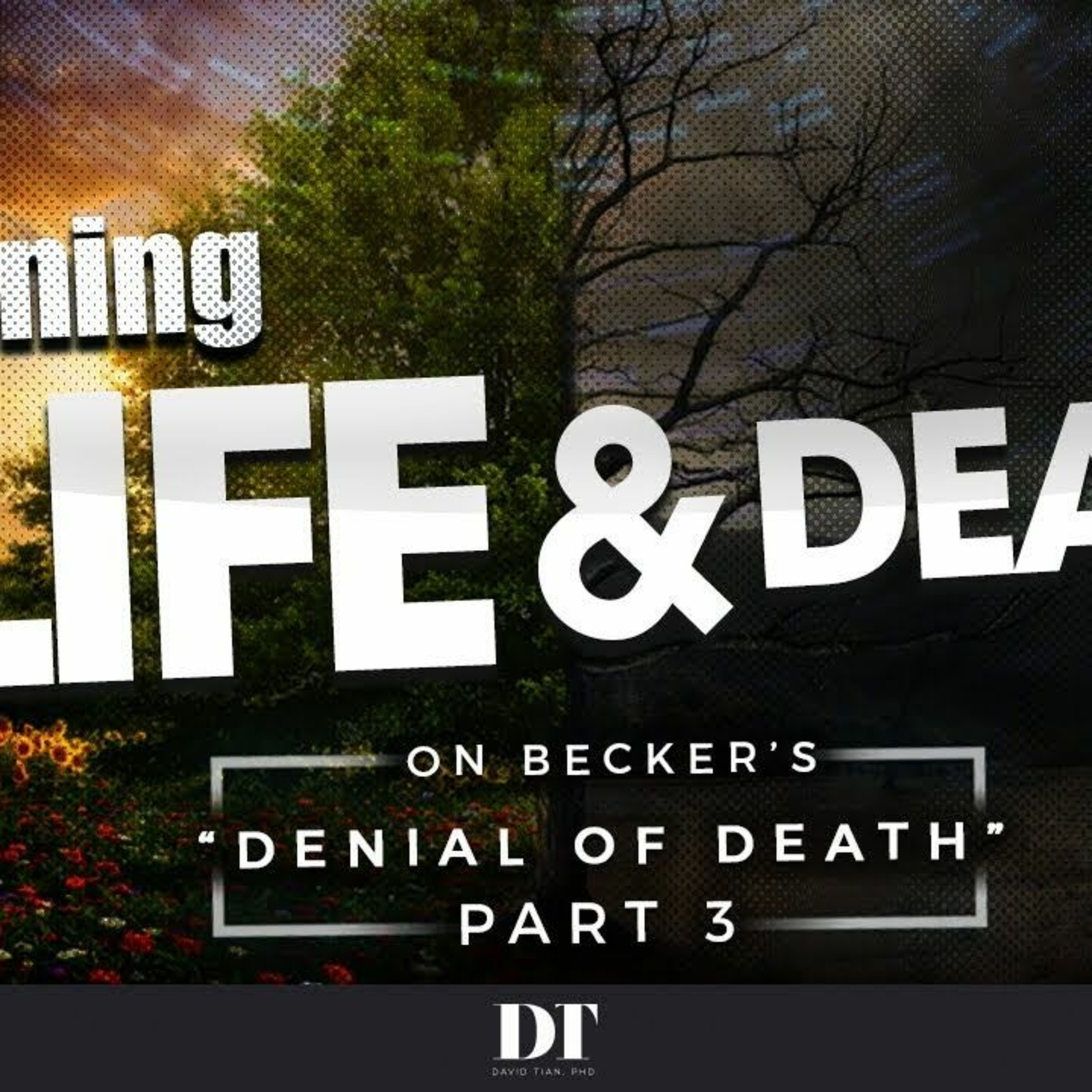 The DTPHD Podcast