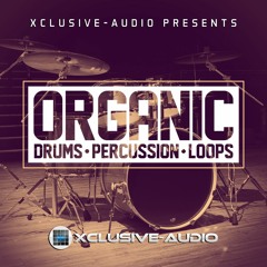 Organic Drum Kit - Percussion Loop 3 (Link in Description)