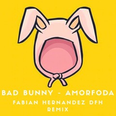 Bad Bunny - Amorfoda (Fabian Hernandez DFH Remix)
