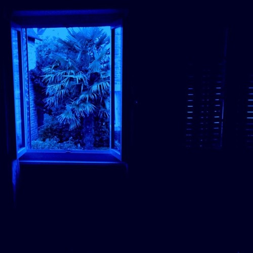 FrostBite (prod.SIXMO)