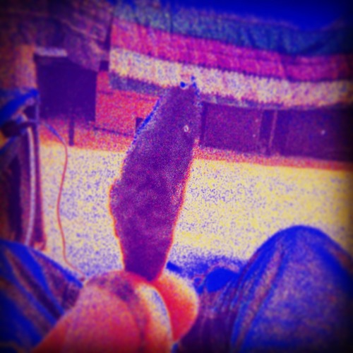 If I Was A Bitch (I Wouldn't Fuck Witchu)