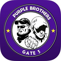 Yaakov Dovrat Feat The Purple Brothers - In The Salon [Ringtone 2]