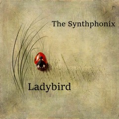 Ladybird