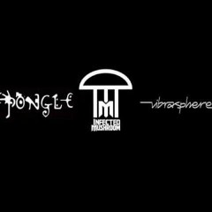 Infected Mushroom vs Shpongle vs Vibrasphere - Live Turntable Mix