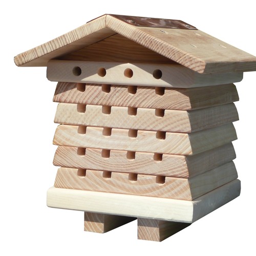 Native Bee Boxes