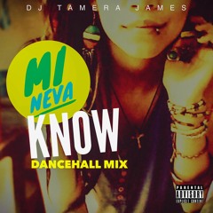 DJ TAMERA JAMES MI NEVA KNOW DANCEHALL MIX