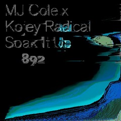 MJ Cole - Soak It Up (dörte's bossa'd up edit)