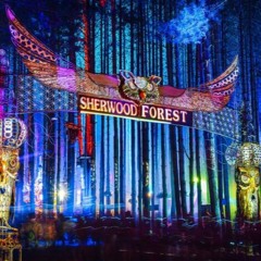 ⚡️🌲 Electric Forest 2018 🌲⚡️