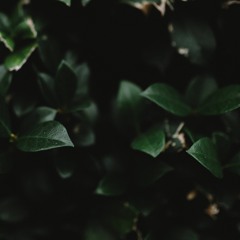 To Be Near You - Elisabeth Harder