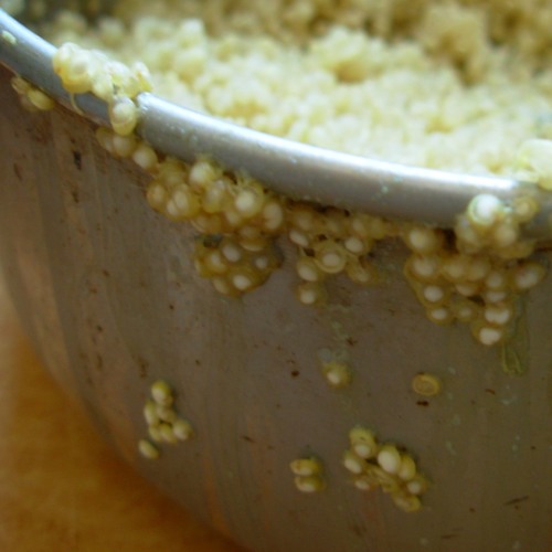 Porridge