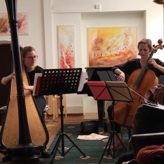 Pièce En Forme De Habanera (Maurice Ravel) - duo cello&harp