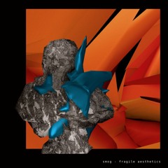 fragile aesthetics LP - snippet
