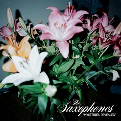 The Saxophones - Mysteries Revealed
