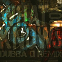 TROYBOI- What You Know (Dubba D. Remix)