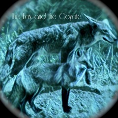 The Fox And The Coyote (produced by mssxn.)