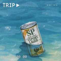 Trip